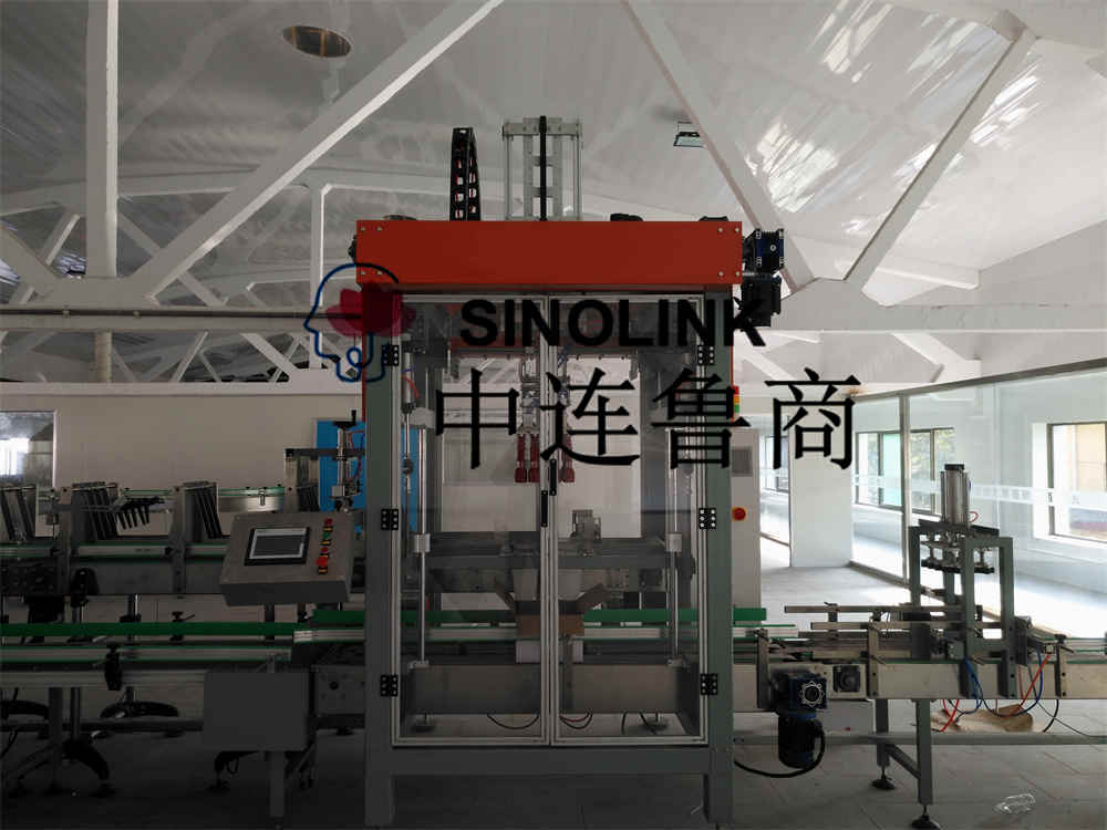 Jump-on Case Packer Fully Automatic Carton Cargo Packing Machine