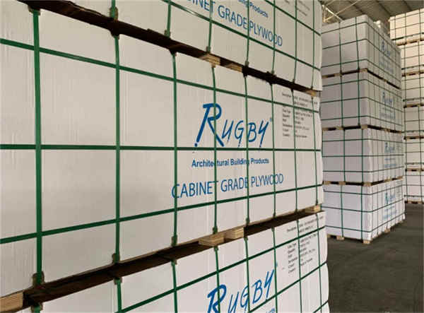 Hot Sales Plastic Clear PP Packaging Strap Hot Sales Plastic Clear PP Packaging Strap